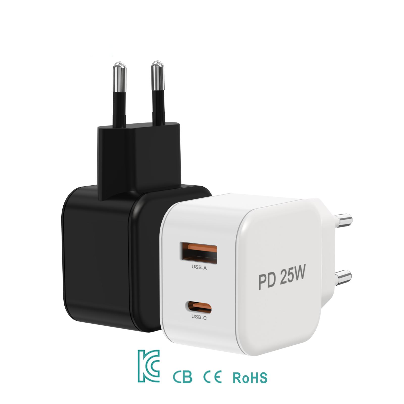 AI-Z21-AC25W-01  EU