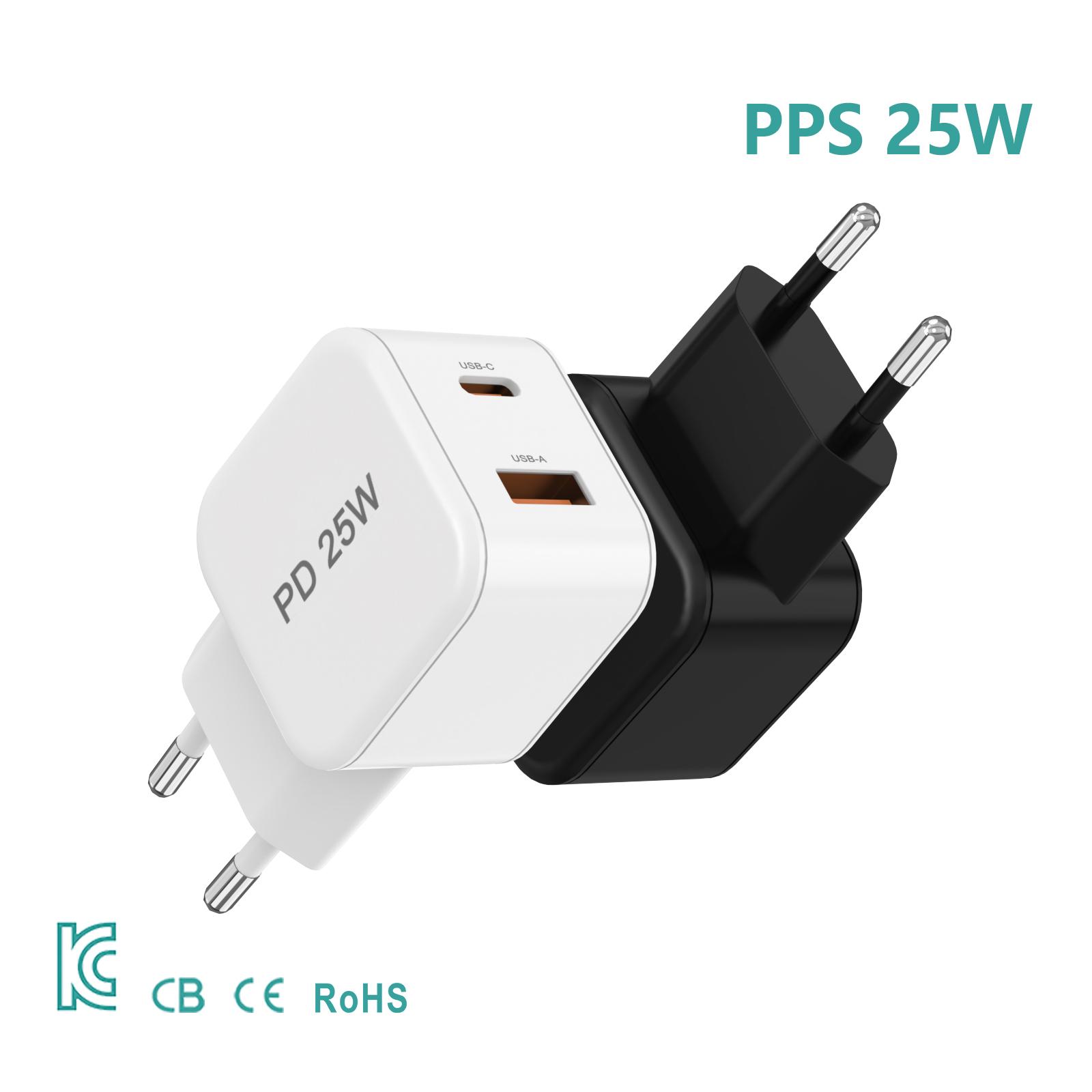 AI-Z21-AC25W-01  EU