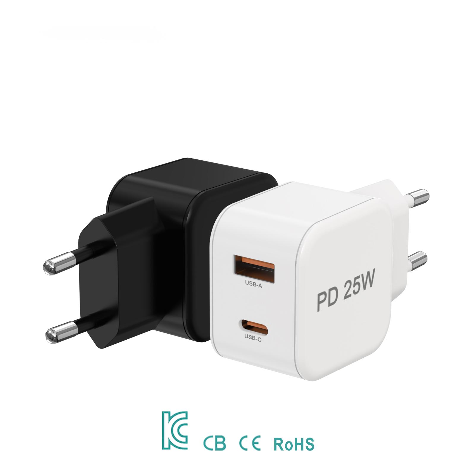 AI-Z21-AC25W-01  EU