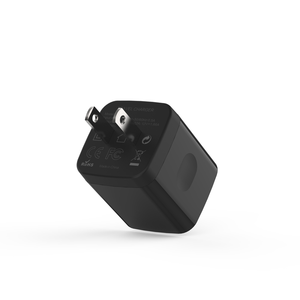 AI-QC66  20W  US Negro